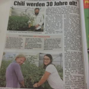 Presseartikel Kronenzeitung 24.9.2017